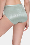 Zivame Coral Glaze Medium Rise Full Coverage Hipster Panty - Granite Green — thumbnail 2